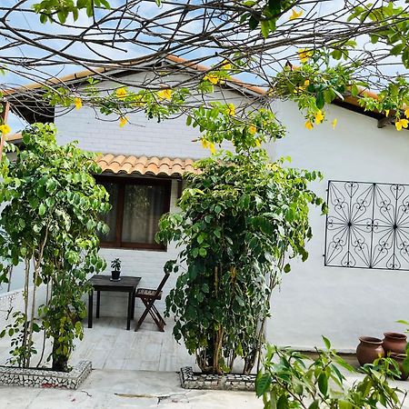 Casa Tua Pipa Apartment Praia de Pipa Exterior photo