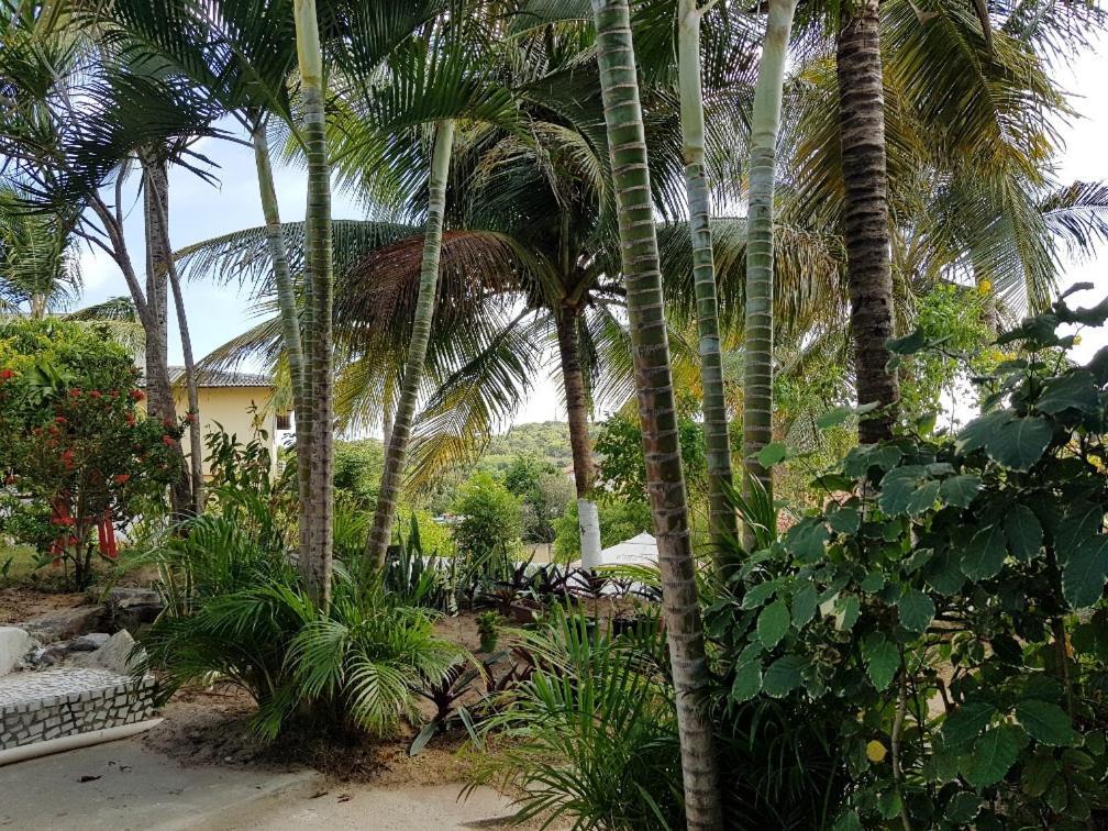 Casa Tua Pipa Apartment Praia de Pipa Exterior photo